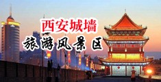 大鸡巴插小穴视频下载中国陕西-西安城墙旅游风景区
