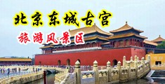 啊啊啊大鸡巴视频中国北京-东城古宫旅游风景区